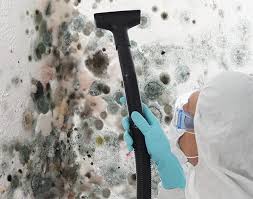 Best Emergency Mold Remediation  in Brown City, MI